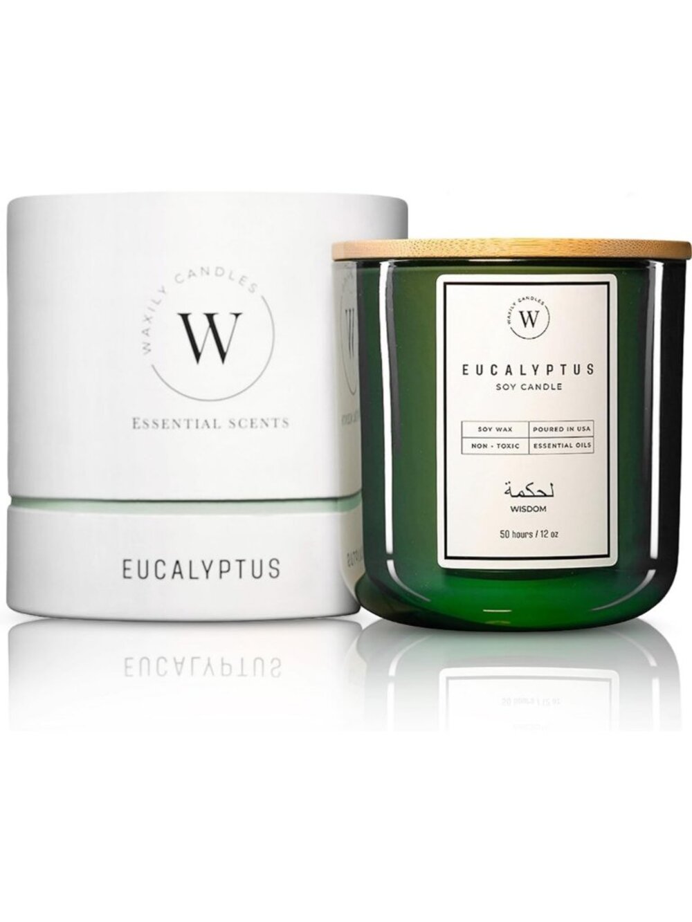 Eucalyptus Scented Soy Candle | Non-Toxic, Eco-Friendly Aromatherapy Gift | 12oz